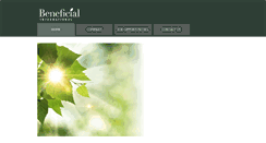 Desktop Screenshot of beneficial-intl.com